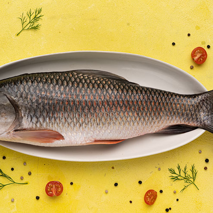 Rohu Fish