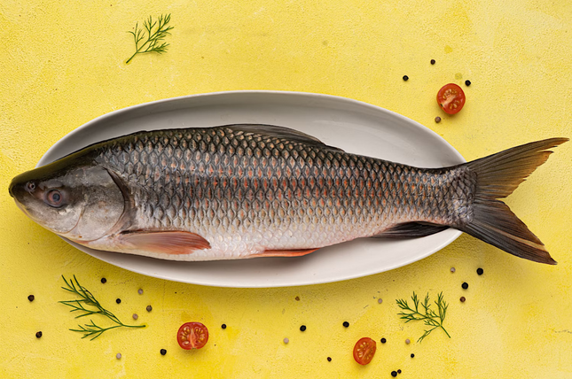 Rohu Fish